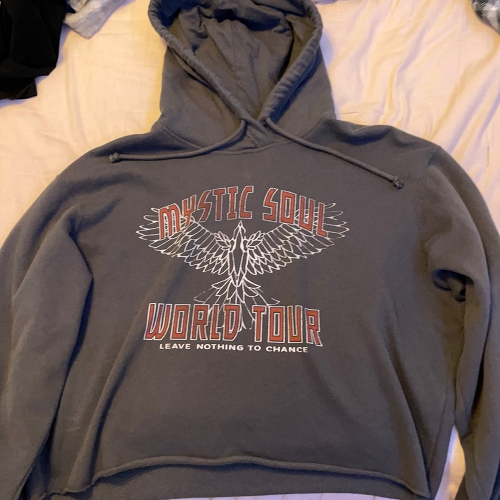 Hollister Cropped Hoodie